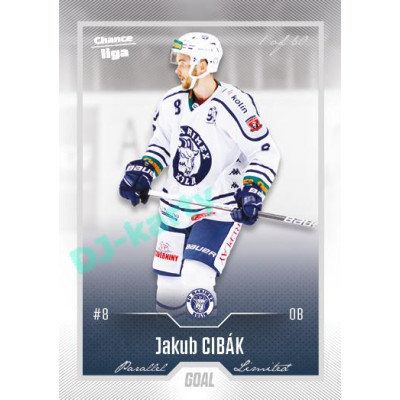 2022/23 Goal Cards Chance Liga 2. série #316 Jakub Cibák Silver 1 of 60
