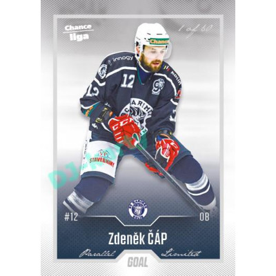 2022/23 Goal Cards Chance Liga 2. série #317 Zdeněk Čáp Silver 1 of 60