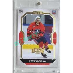 2023/24 Goal cards Chance Liga 2. série #235 Petr Vodička Expo Gold 1of7