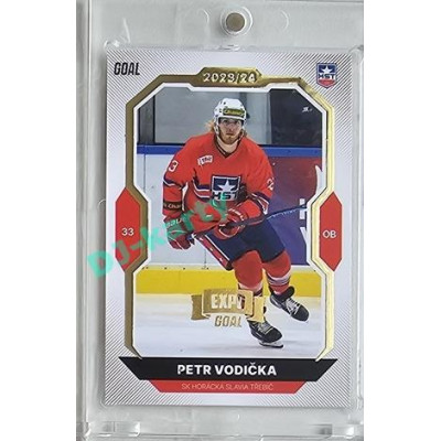 2023/24 Goal cards Chance Liga 2. série #235 Petr Vodička Expo Gold 1of7