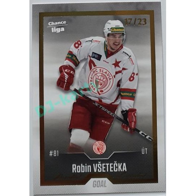 2022/23 Goal Cards Chance Liga 1. série #112 Robin Všetečka Gold 17/23