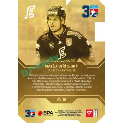 2022/23 Sportzoo ELH 2. série #AV-16 Matěj Stříteský 30 let ELH