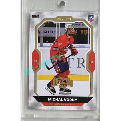 2023/24 Goal cards Chance Liga 2. série #243 Michal Vodný Expo Gold 1of7