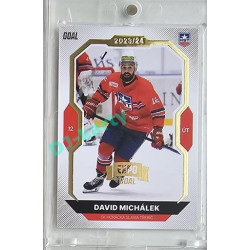 2023/24 Goal cards Chance Liga 2. série #244 David Michálek Expo Gold 1of7