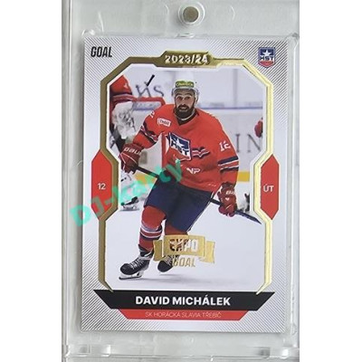 2023/24 Goal cards Chance Liga 2. série #244 David Michálek Expo Gold 1of7