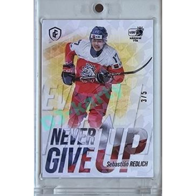 2023/24 LC Expectations Road to Prague #NGU-13 Sebastián Redlich Never Give Up Ice Floes 3/5