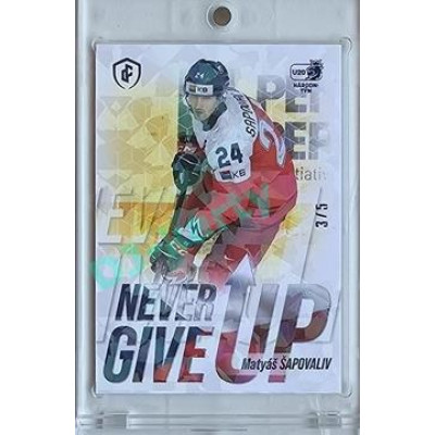 2023/24 LC Expectations Road to Prague #NGU-19 Matyáš Šapovaliv Never Give Up Ice Floes 3/5