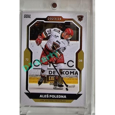 2023/24 Goal cards Chance Liga 2. série #248 Aleš Poledna Expo Gold 1of7