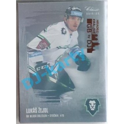 2019/20 OFS Lukáš Žejdl #131 Silver Rainbow GBbyDJ
