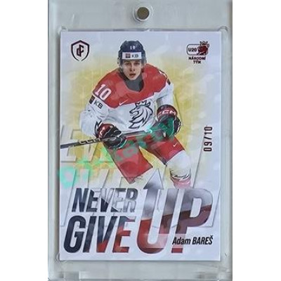 2023/24 LC Expectations Road to Prague #NGU-07 Adam Bareš Never Give Up Magma xx/10