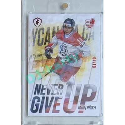 2023/24 LC Expectations Road to Prague #NGU-08 Matěj Přibyl Never Give Up Magma xx/10