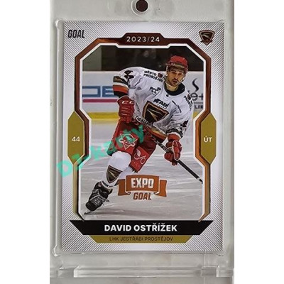 2023/24 Goal cards Chance Liga 2. série #254 David Ostřížek Expo Gold 1of7