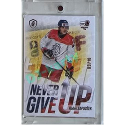2023/24 LC Expectations Road to Prague #NGU-16 Robin Sapoušek Never Give Up Magma xx/10