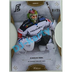 2020/21 OFS 2. série Vladislav Habal #386 01/25 Hobby Cut