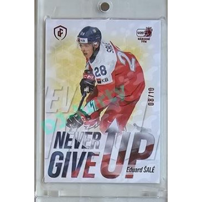 2023/24 LC Expectations Road to Prague #NGU-23 Eduard Šalé Never Give Up Magma xx/10