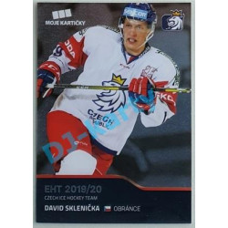 2020 MK reprezentace David Sklenička EHT #34
