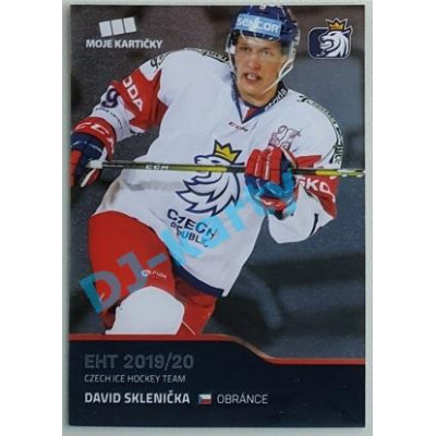 2020 MK reprezentace David Sklenička EHT #34