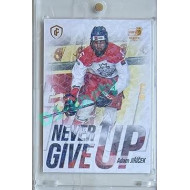 2023/24 LC Expectations Road to Prague #NGU-03 Adam Jiříček Never Give Up Jungle xx/20