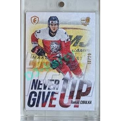 2023/24 LC Expectations Road to Prague #NGU-05 Tomáš Cibulka Never Give Up Jungle xx/20
