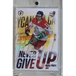 2023/24 LC Expectations Road to Prague #NGU-08 Matěj Přibyl Never Give Up Jungle xx/20