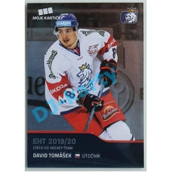 2020 MK reprezentace David Tomášek EHT #35