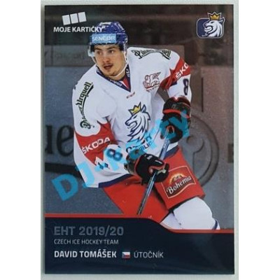 2020 MK reprezentace David Tomášek EHT #35