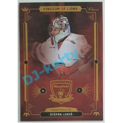 2021 OFS Kingdom of Lions Štěpán Lukeš #B01
