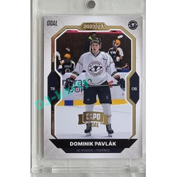 2023/24 Goal cards Chance Liga 2. série #273 Dominik Pavlák Expo Gold 1of7