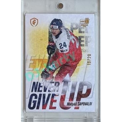 2023/24 LC Expectations Road to Prague #NGU-19 Matyáš Šapovaliv Never Give Up Jungle xx/20