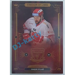 2021 OFS Kingdom of Lions Radek Pilař #B13 11/12 Rainbow