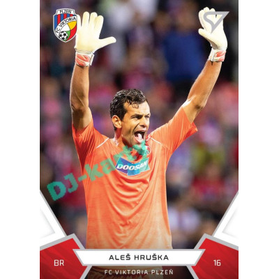 2021/22 Sportzoo Fortuna Liga Aleš Hruška #88