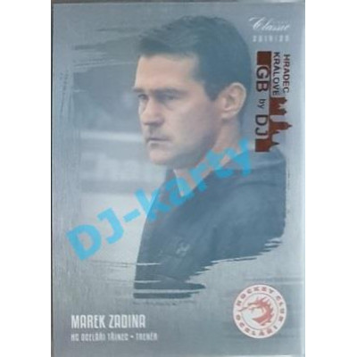 2019/20 OFS Marek Zadina #255 Silver Rainbow GBbyDJ