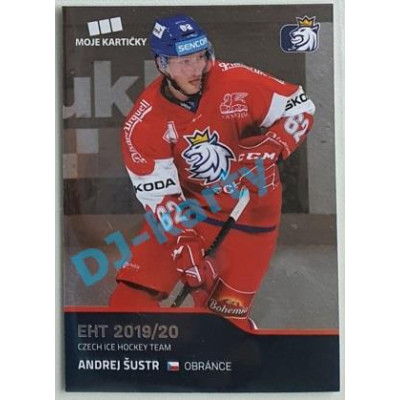 2020 MK reprezentace Andrej Šustr EHT #36