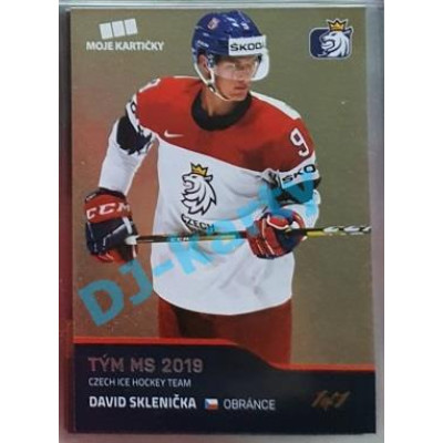 2020 MK reprezentace David Sklenička Tým MS 2019 #51 1/1 Gold
