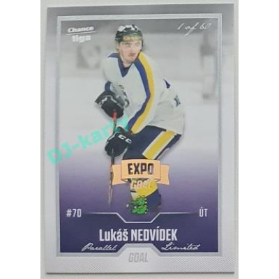 2022/23 Goal Cards Chance Liga 2. série #382 Lukáš Nedvídek Expo Silver 1 of 3
