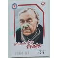 Portrét Canvas Paralel