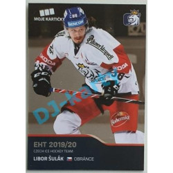 2020 MK reprezentace Libor Šulák EHT #37