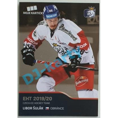 2020 MK reprezentace Libor Šulák EHT #37