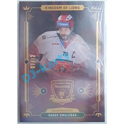 2021 OFS Kingdom of Lions Radek Smoleňák #B15 07/12 Rainbow