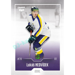 2022/23 Goal Cards Chance Liga 2. série #382 Lukáš Nedvídek