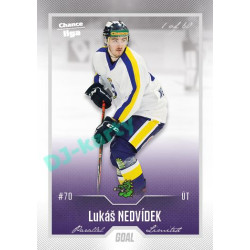 2022/23 Goal Cards Chance Liga 2. série #382 Lukáš Nedvídek Silver 1 of 60