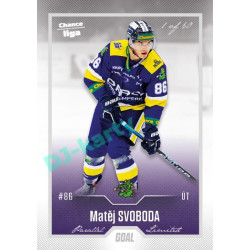 2022/23 Goal Cards Chance Liga 2. série #383 Matěj Svoboda Silver 1 of 60