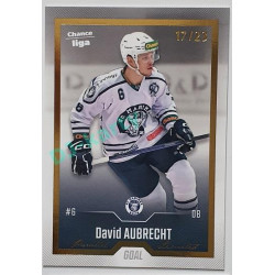 2022/23 Goal Cards Chance Liga 1. série #118 David Aubrecht Gold 04/23