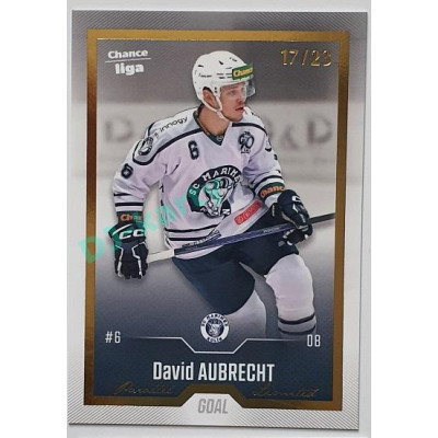 2022/23 Goal Cards Chance Liga 1. série #118 David Aubrecht Gold 04/23