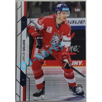 2021 MK reprezentace Jakub Galvas EHT #7