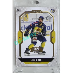 2023/24 Goal cards Chance Liga 2. série #304 Jiří Goiš Expo Gold 1of7