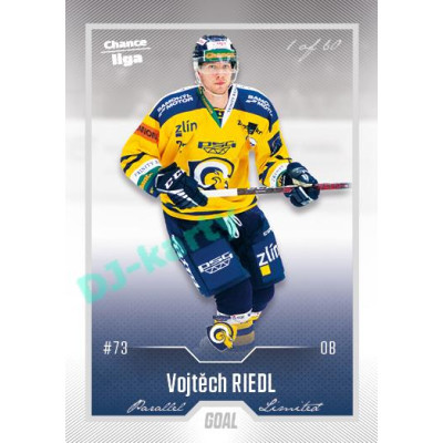 2022/23 Goal Cards Chance Liga 2. série #391 Vojtěch Riedl Silver 1 of 60