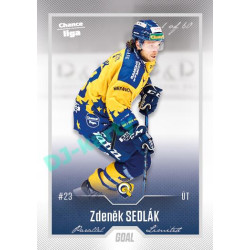 2022/23 Goal Cards Chance Liga 2. série #393 Zdeněk Sedlák Silver 1 of 60