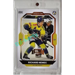 2023/24 Goal cards Chance Liga 2. série #308 Richard Němec Expo Gold 1of7