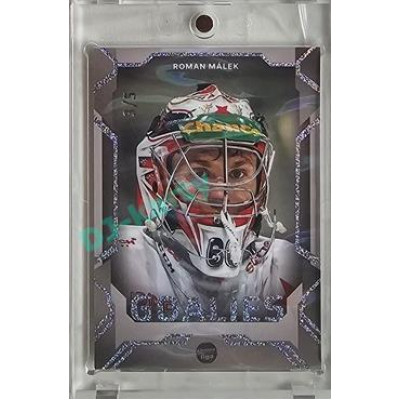 2023/24 Goal cards Chance Liga 2. série #G-22 Roman Málek Goalies Parallel 3/5